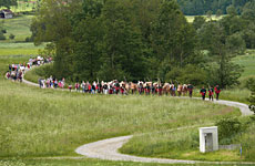 Bayerischer Wald