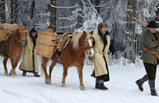 Bayerischer Wald