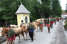 Bayerischer Wald