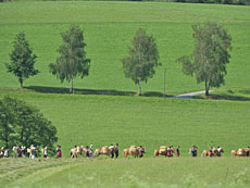 Fotowettbewerb Säumerfest