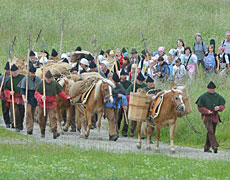 Fotowettbewerb Säumerfest