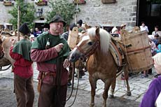 Fotowettbewerb Säumerfest