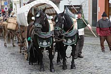 Fotowettbewerb Säumerfest