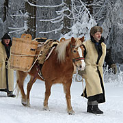 Bayerischer Wald