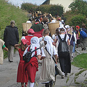 Bayerischer Wald