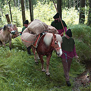 Bayerischer Wald